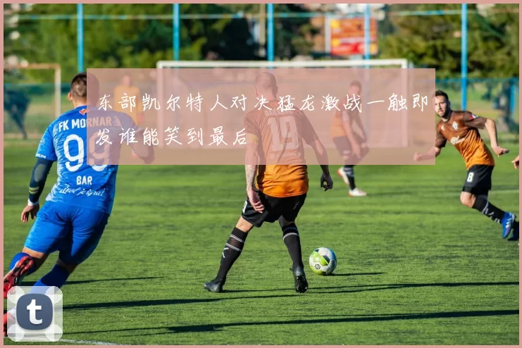 东部凯尔特人对决猛龙激战一触即发谁能笑到最后